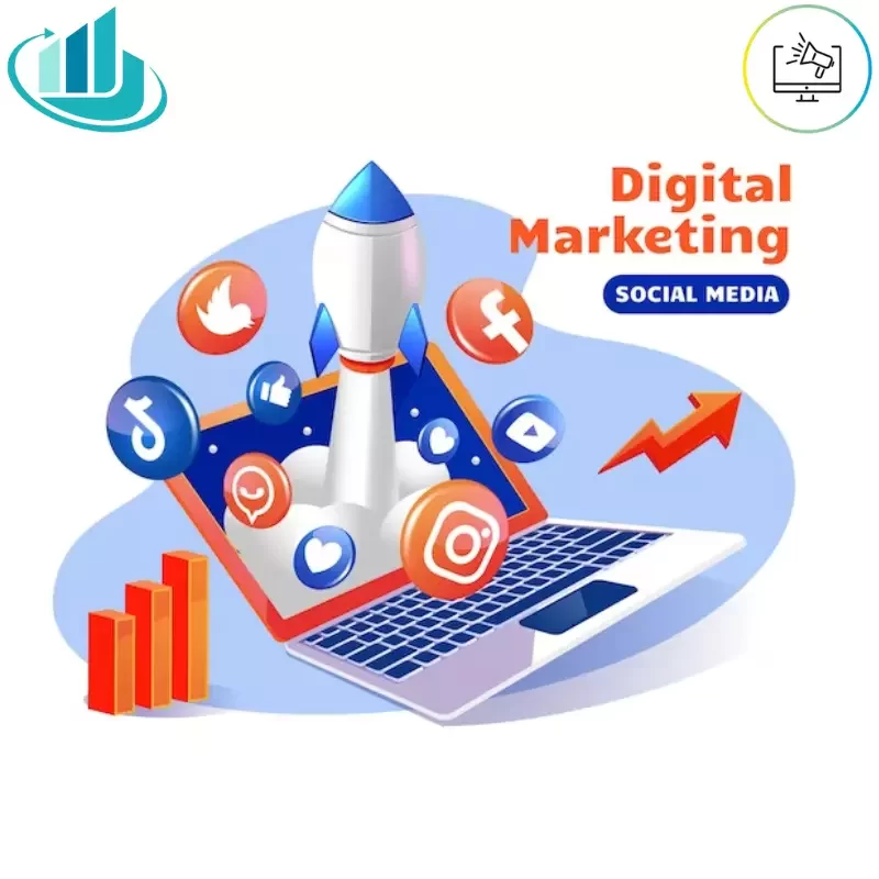 Our Digital Marketing Projects